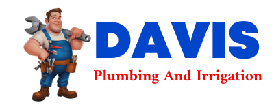 Trusted plumber in BUTTERFIELD